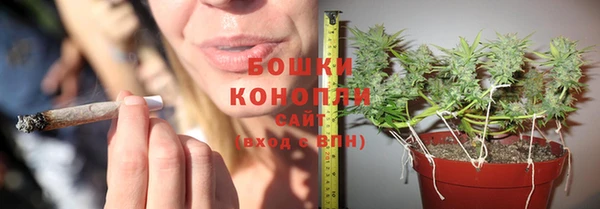 трава Алексеевка